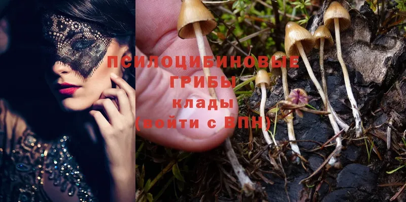 мега ONION  Мичуринск  Псилоцибиновые грибы MAGIC MUSHROOMS 